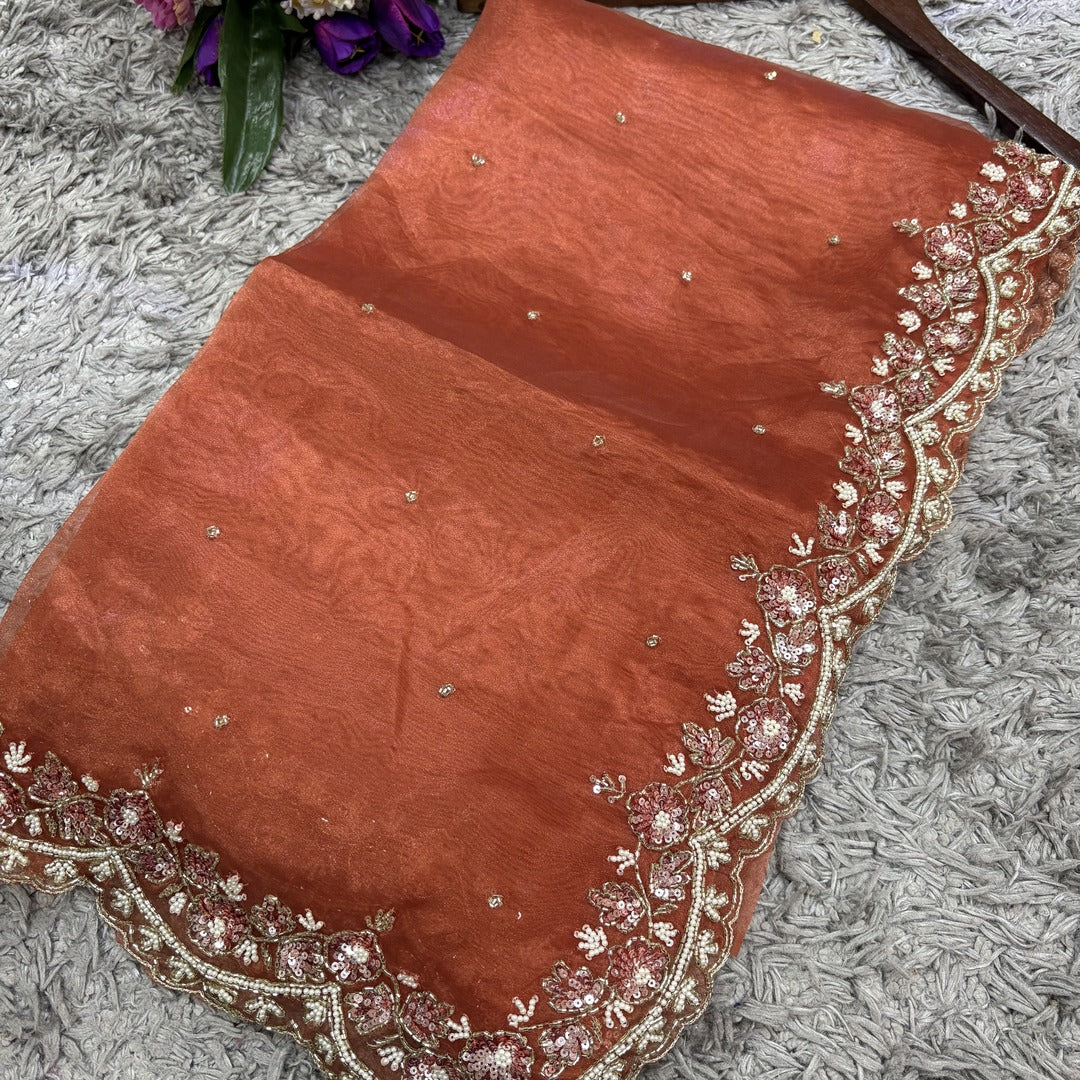 Jhalak Tissue Organza Saree – Ethereal Tissue-Organza Fabric