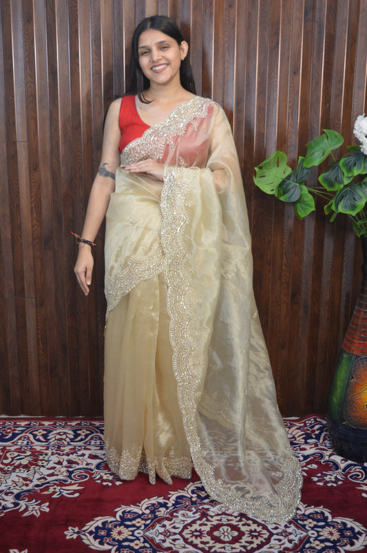Pushpa Tissue Organza Saree – Ethereal Blooming Elegance