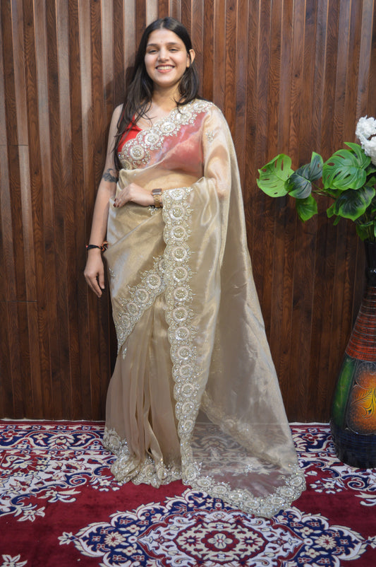 Ravina Premium hand worked tissue organza sarees