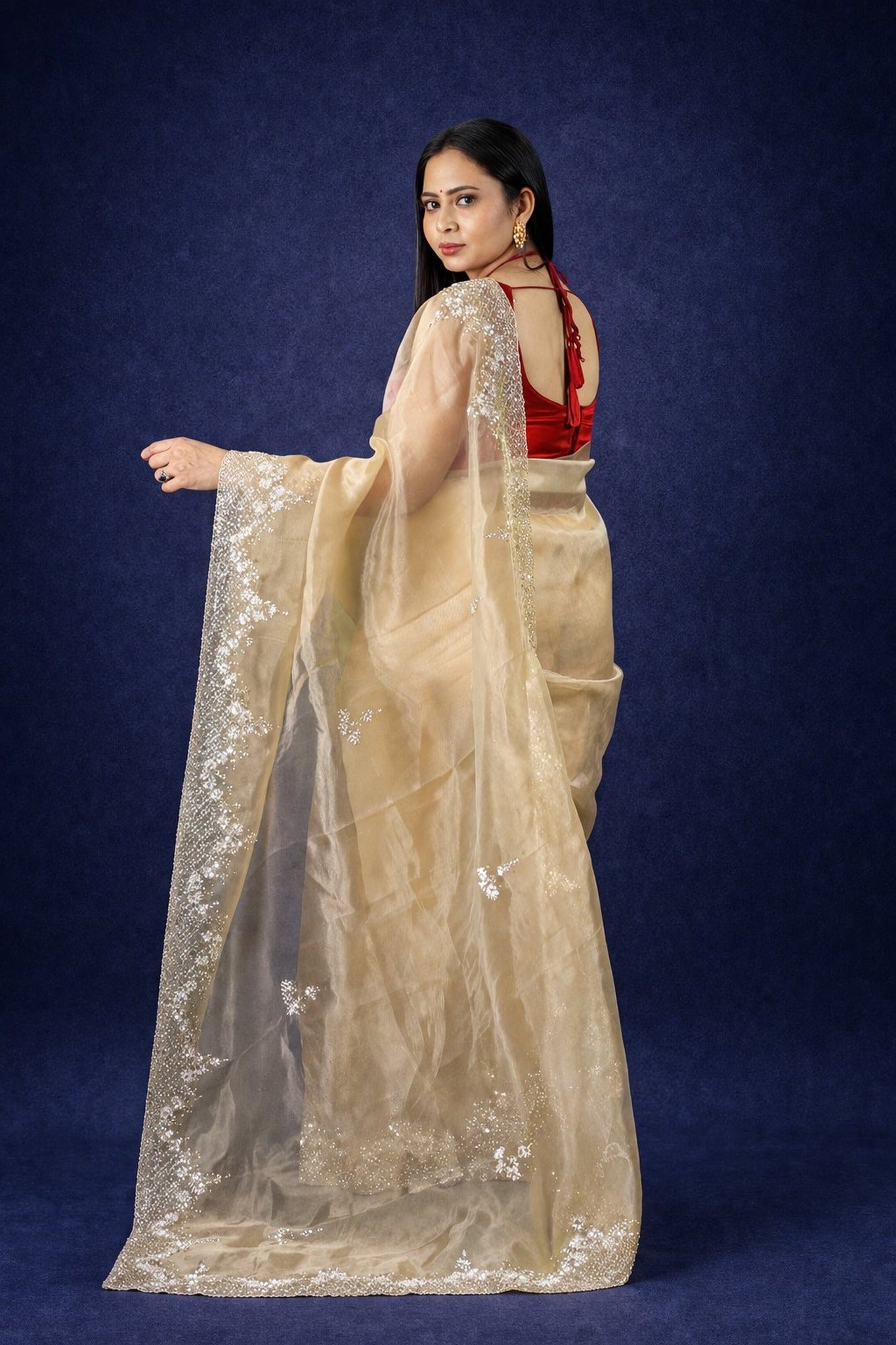 Handworked Tissue organza saree in triangle motif