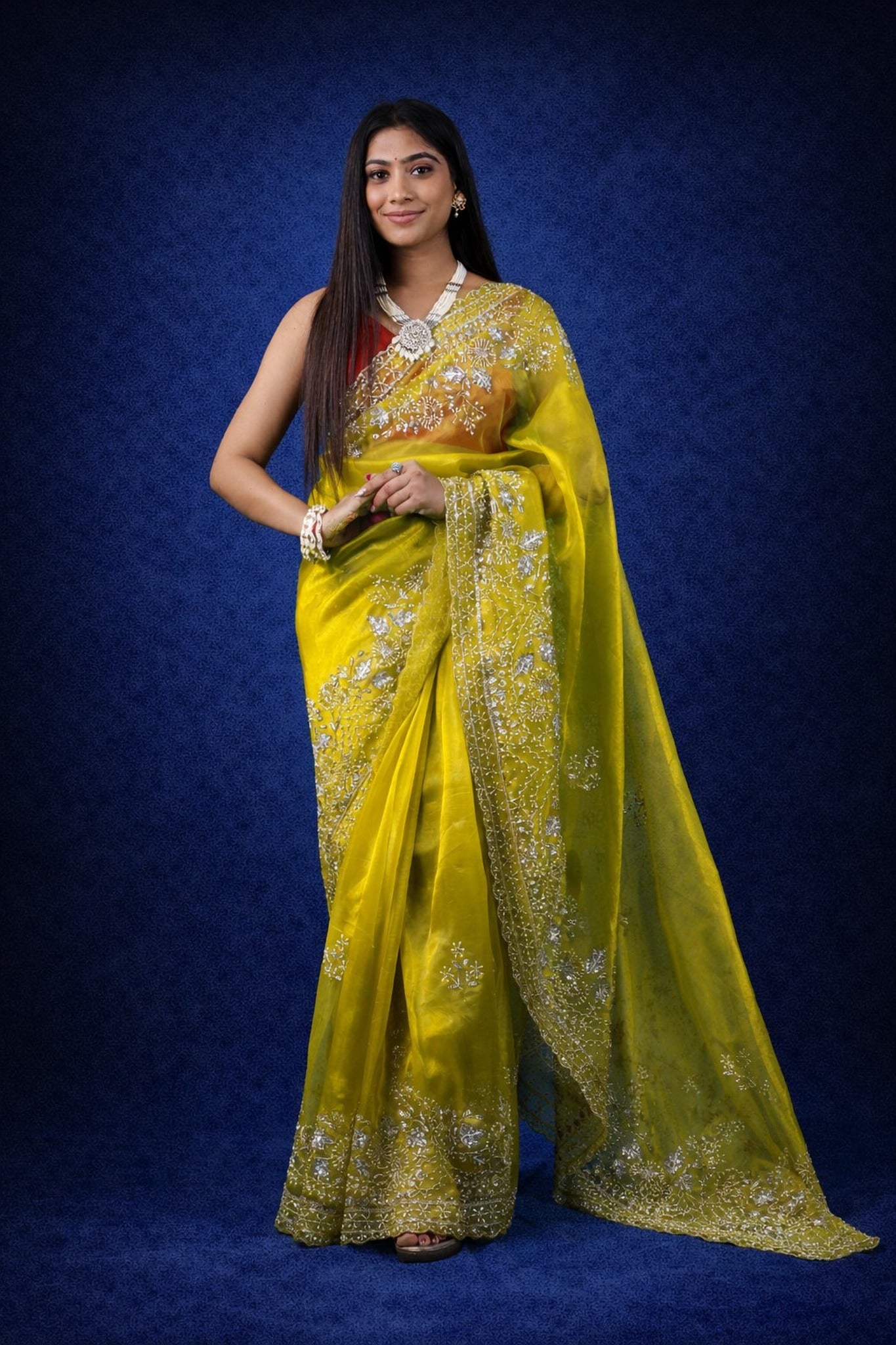Gulmohar Tissue Organza Saree – Radiant Woven Luminosity