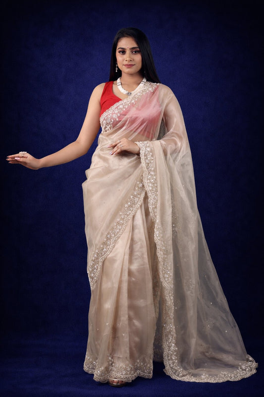Jhalak Tissue Organza Saree – Ethereal Tissue-Organza Fabric