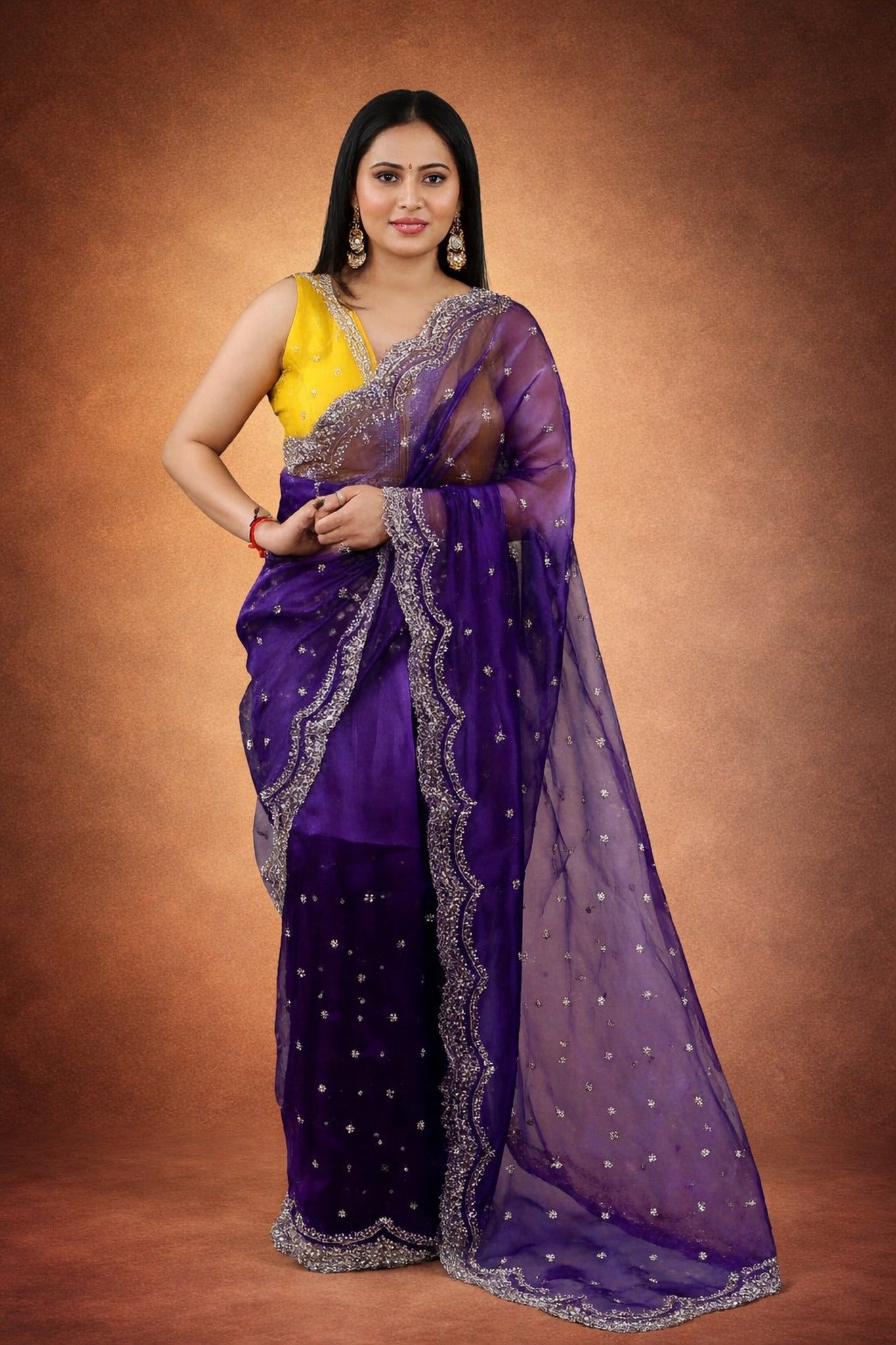 Dhamaka Tissue Organza saree in cutwork border