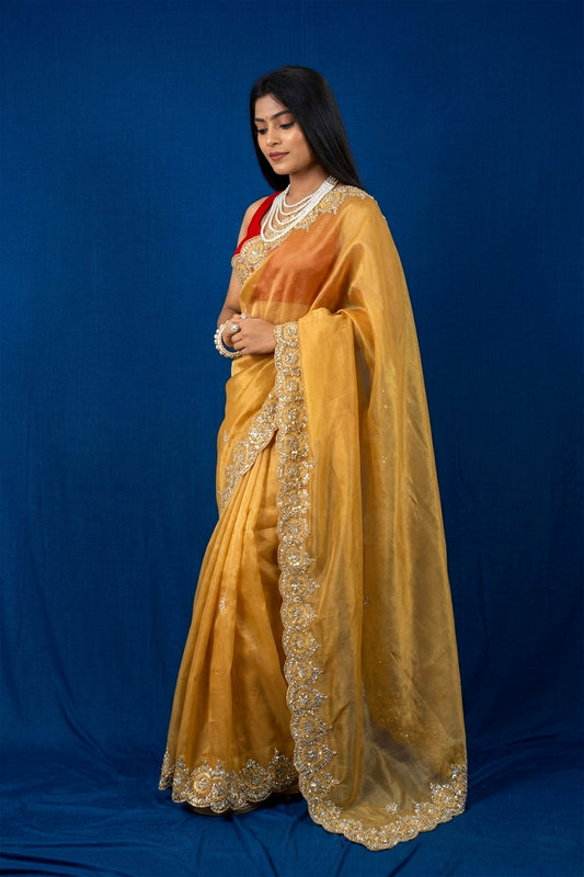 Ravina Premium Tissue Sarees